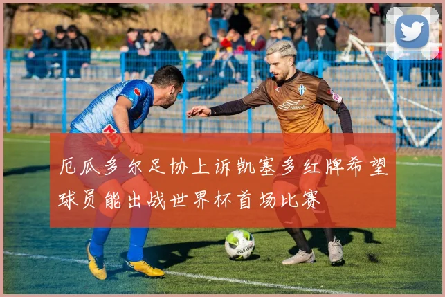厄瓜多尔足协上诉凯塞多红牌希望球员能出战世界杯首场比赛